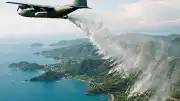 İzlanda'da Erozyonla Mücadelede Kullanılan Alaska Lupini Bitkisi Yeni Bir Ekolojik Krize Yol Açtı