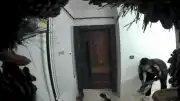 Başakşehir'de Apartman Katlarında Ayakkabı Hırsızlığı: O Anlar Kamerada