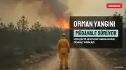 Aydın'da Orman Yangınlarına Müdahale Sürüyor: Çine ve Gömeç'teki Alevlerde Sıcaklık 441 Dereceye Ulaştı