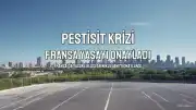 Fransa'da Yasaklı Pestisitlerin Kullanımına İzin Veren Yasa Meclis Onayından Geçti