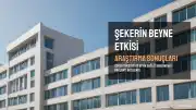 Şeker Tüketimi ve Beyin Sağlığı Arasındaki Bağlantı Araştırıldı