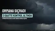 Tekirdağ Malkara'da Anız Yangını Ormana Sıçradı: 3 Saatte Kontrol Altına Alındı