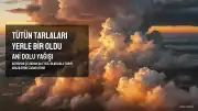 Çelikhan'da Ani Dolu Yağışı Tütün Tarlalarına Zarar Verdi