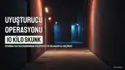 İstanbul'da Uyuşturucu Operasyonu: 10 Kilo Skunk ve Silahlar Ele Geçirildi
