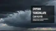 Kanada'da Orman Yangınlarında Can Kaybı Yaşandı