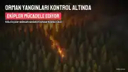Muğla'da Orman Yangınları Kontrol Altına Alındı