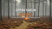 New Forest'ta Orman Yangını Nadir Yaşamı Tehdit Ediyor