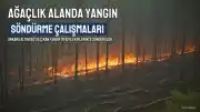 Ankara'da Ağaçlık Alanda Çıkan Yangın Söndürüldü