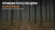 Bayburt'ta Vatandaşın Tilkiyle Kurduğu Dostluk Kameraya Yansıdı