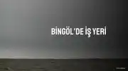 Bingöl'de İş Yeri Hırsızlığı: Zanlı Tutuklandı