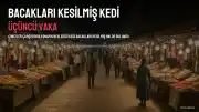 Çiniciler Çarşısı'nda Bacakları Kesilmiş Kedi Bulundu: Üçüncü Vaka İddiası