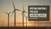 Danıştay Tarafından İptal Edilen Rüzgar Enerji Santrali Projesi Yeniden Onaylandı: 14 Bin Ağaç Kesildi