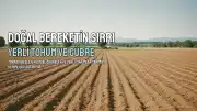 Doğal ve Kimyasal Gübrelerin Tarımsal Üretimdeki Rolü ve Etkileri