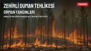 Endonezya'da Orman Yangınları Nedeniyle Zehirli Duman Yayılıyor, 175 Bin Kişi Solunum Yolu Hastalıklarına Yakalandı