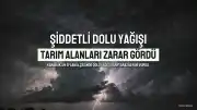 Karabük'ün Eflani İlçesinde Şiddetli Dolu Yağışı Tarım Alanlarına Zarar Verdi