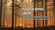 Muğla'da Orman Yangınına Havadan ve Karadan Müdahale Ediliyor