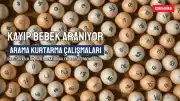 Sivas'ta Kaybolan 11 Aylık Büşra Bebek İçin Arama Başlatıldı