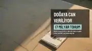 Sular Çekildi, 17 Milyar Tohumla Doğaya Can Veriliyor