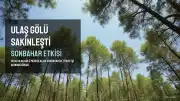 Ulaş Gölü Mesire Alanı Sonbaharda Sakinleşti