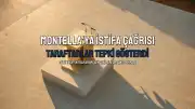 Vincenzo Montella İstifa Etti Mi? Milli Takım Taraftarlardan Tepki Aldı