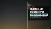 Sürü Psikolojisi: Kalabalıkların Ardından Gitmenin Güvenli Algısı ve Yanılgıları