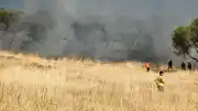 Ayvalık Sakarya Mahallesi'nde Otluk Alanda Yangın Çıktı