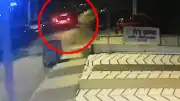İBB Kültür A.Ş. Genel Müdür Yardımcısı Erhan Karaal'ın kaçırılması soruşturmasında gözaltı sayısı 12'ye çıktı