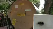 Kadıköy'de Sıra Dışı Arıcılık: Fatih Bostan Dev Kovanla Bal Üretimine Başladı