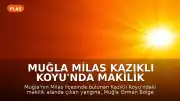 Muğla Milas Kazıklı Koyu'nda Makilik Alanda Yangın