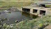 Şanlıurfa'da Derede Boğulma Tehlikesi Geçiren Çocuk Hayatını Kaybetti