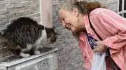 Sinema oyuncusu ve hayvan hakları savunucusu Emel Yıldız son yolculuğuna uğurlandı