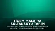 TİGEM Malatya Sultansuyu Tarım İşletmesi Tay Satışlarından 18 Milyon 220 Bin Lira Gelir Sağladı