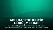 Abu Dabi'de Kritik Görüşme: BAE Devlet Başkanı Bin Zayid ve Libya Başbakanı Dibeybe Bir Araya Geldi