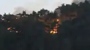 Adana Kozan'daki Orman Yangını Büyük Oranda Kontrol Altına Alındı