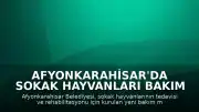 Afyonkarahisar'da Sokak Hayvanları Bakım ve Rehabilitasyon Merkezi Hizmete Giriyor