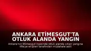 Ankara Etimesgut'ta otluk alanda yangın çıktı