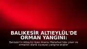 Balıkesir Altıeylül'de Orman Yangını: Müdahale Devam Ediyor