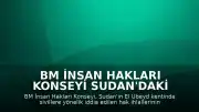 BM İnsan Hakları Konseyi Sudan'daki El Ubeyd Şehri İçin Soruşturma Kararı Aldı