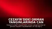 Cezayir'deki Orman Yangınlarında Can Kaybı ve Yaralanma Bildirildi