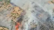 Denizli Pamukkale'de Orman Yangını Çıktı