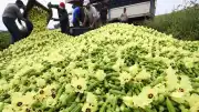 Eski Polis Memuru H.Ç.'ye 8 Yıl 4 Ay Hapis Cezası