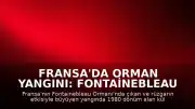 Fransa'da Orman Yangını: Fontainebleau Ormanı'nda Bin 980 Dönüm Alan Kül Oldu