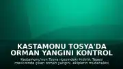 Kastamonu Tosya'da Orman Yangını Kontrol Altına Alındı