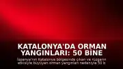 Katalonya'da Orman Yangınları: 50 Bine Yakın Kişi Tahliye Edildi