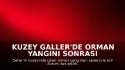 Kuzey Galler'de Orman Yangını Sonrası Acil Durum İlan Edildi