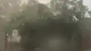 Manisa Kırkağaç'ta Şiddetli Sağanak ve Fırtına Yaşamı Olumsuz Etkiledi