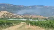 Manisa Sarıgöl'de çıkan maki yangını ormanlık alana yayıldı
