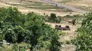 Muş Bulanık'ta Traktör Römorku Uçuruma Yuvarlandı: 1 Ölü, 23 Yaralı
