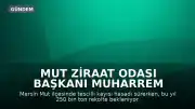 Mut Ziraat Odası Başkanı Muharrem Yılmaz: "Bu yıl hem kalite hem de rekolte oldukça yüksek. Yaklaşık 250 bin ton üretim bekliyoruz."