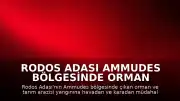 Rodos Adası Ammudes Bölgesinde Orman Yangını Meydana Geldi